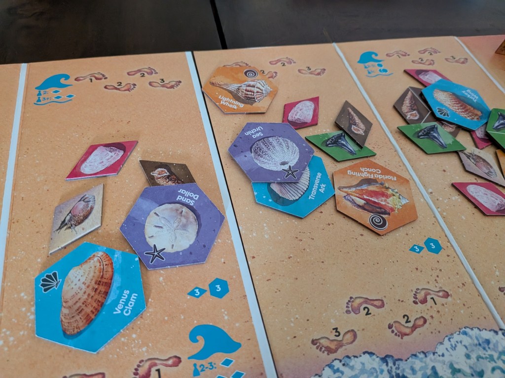 an absolute mess of shells spilling out across the beach board